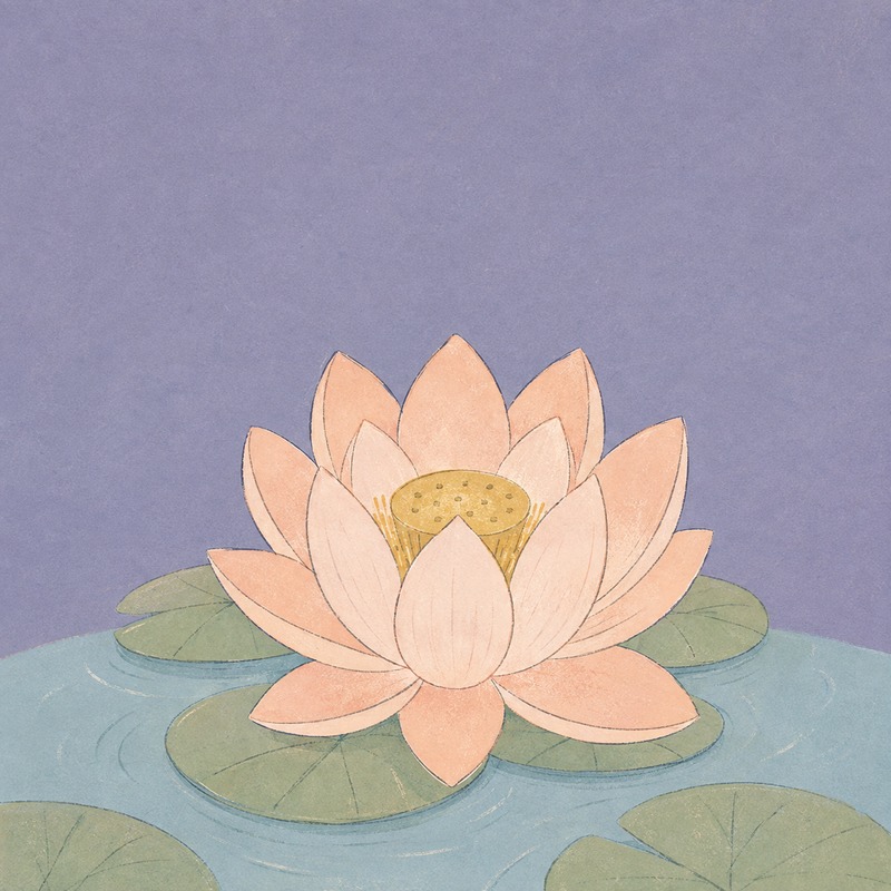 Illustrazione del percorso Fiorire, mindfulness in piccolo gruppo
