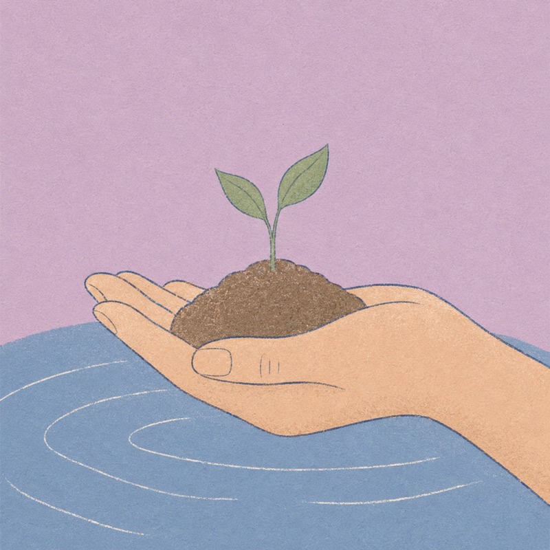 Illustrazione del percorso Germoglio, mindfulness per bambin* 6–12 anni